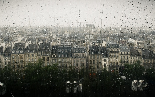 Rainy City Day