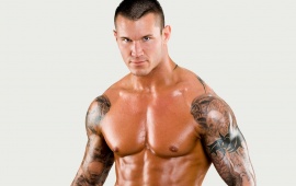 Randy Orton Body