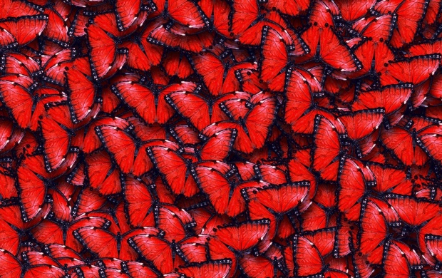 Red Butterflies
