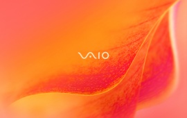 Red Sony Vaio