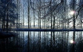 Reflection In Kromme Rijn River