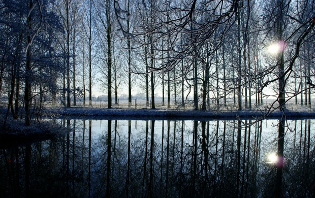 Reflection In Kromme Rijn River (click to view)