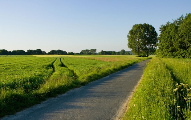 Road Through a Green Field