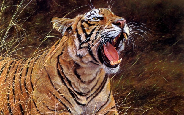 Roar Of The Jungle Tiger (click to view)