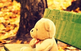 Sad Alone Teddy Bear
