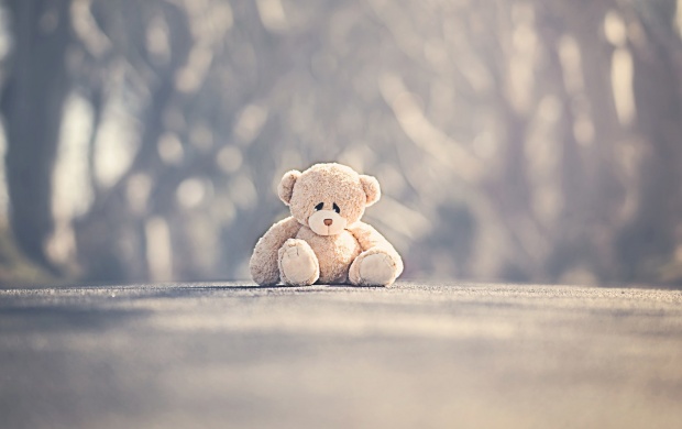 Sad Alone Teddy Bear On Road