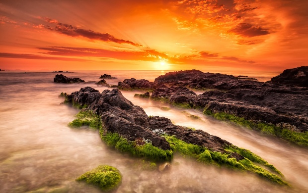 Sea Sunrise Turrican (click to view)