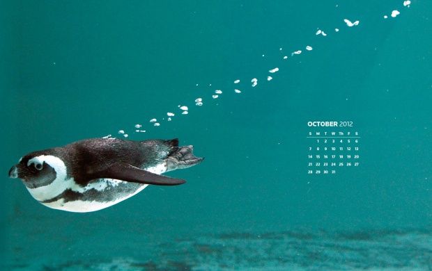 Seal October Calendar