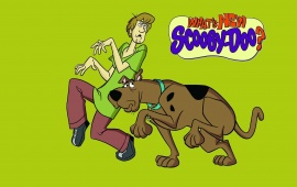 Shaggy Scooby Doo
