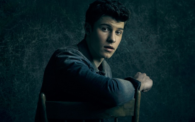 Shawn Mendes (click to view)
