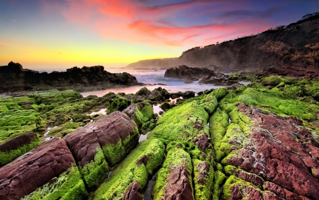 Shore Rocks Covered with Moss (click to view)