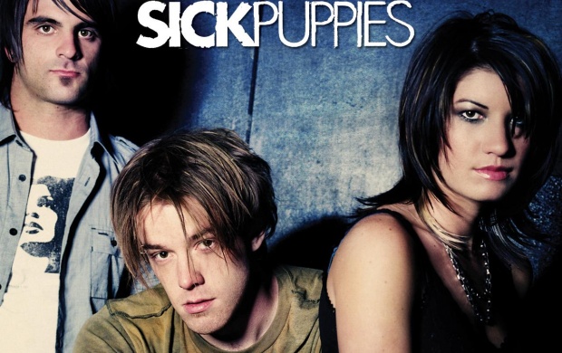 Sick Puppies Band (click to view)