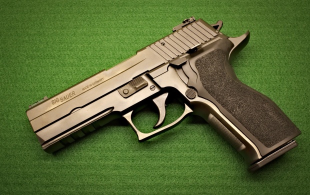 SIG-Sauer P226 Gun