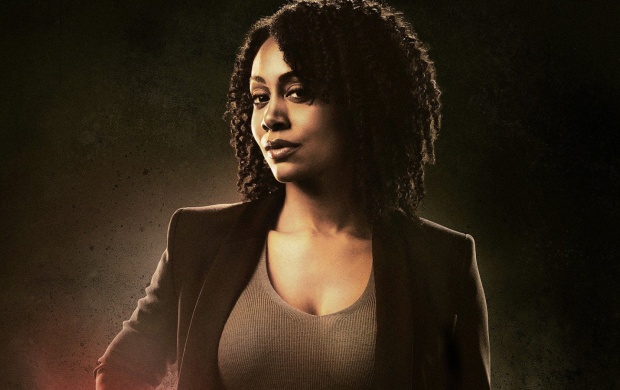 Simone Missick As Misty Knight In Luke Cage (click to view)