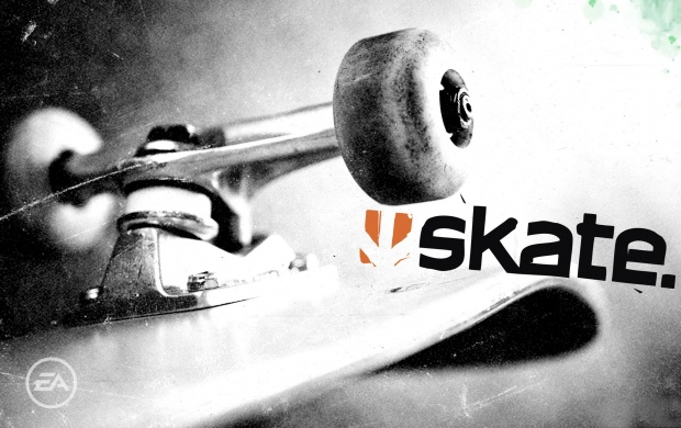 Skate Video Game (click to view)