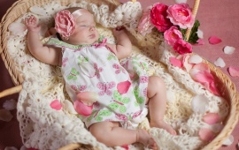 Sleeping Baby And Petals Flowers