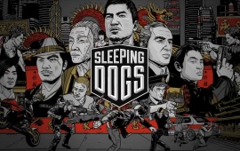 Sleeping Dogs Video Game