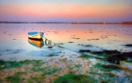 Small Boat at Shore with Tilt Shift Effect