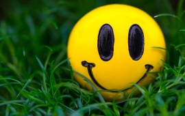 Smiley At Grass