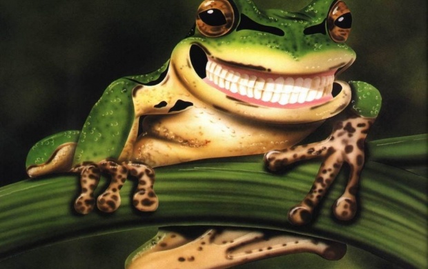 Smiley Frog