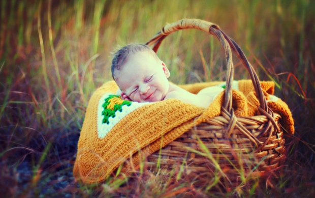 Smiley Sleeping Baby In Basket (click to view)