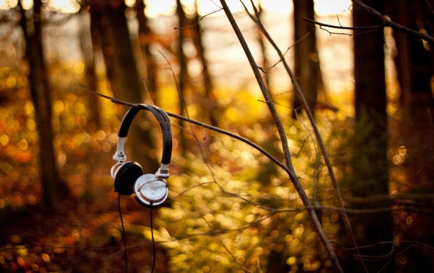 Sony Headphones At Summer (click to view)