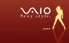 Sony Vaio style