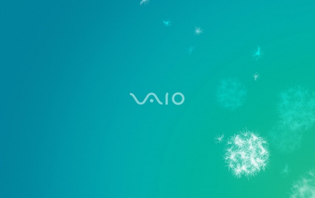 Sony Vaio Teal Whisper (click to view)
