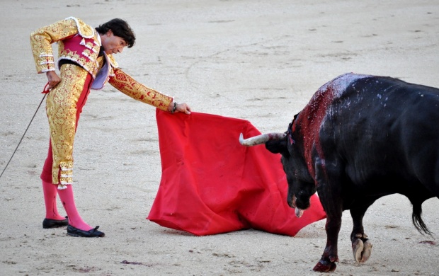 Spain Bull Fighting