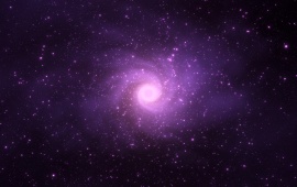 Star Violet Lights Cosmos
