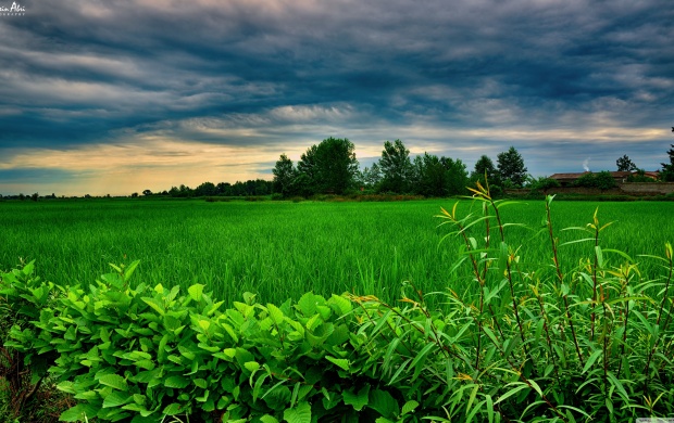 Stormy Clouds over Green Field (click to view)