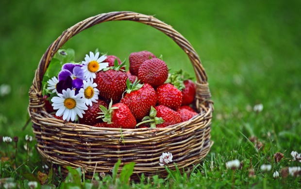 Strawberries Basket And Flowers