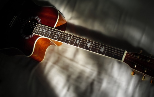 Strings Frets Guitar (click to view)