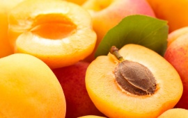 Summer Apricot Fruit