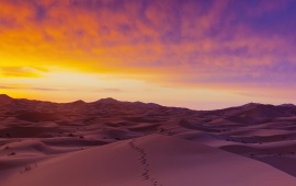 Summer Horizon Desert