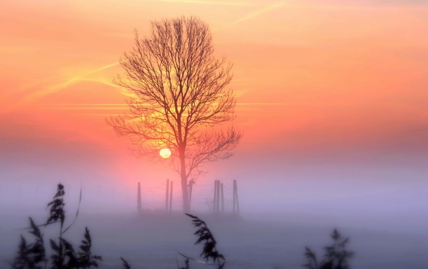 Sunset And Mist (click to view)