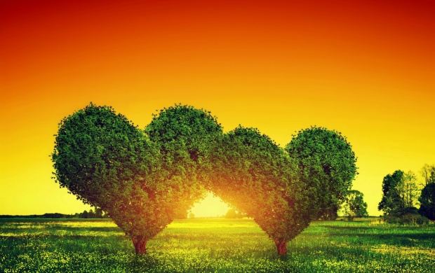 Sunset Heart Tree (click to view)