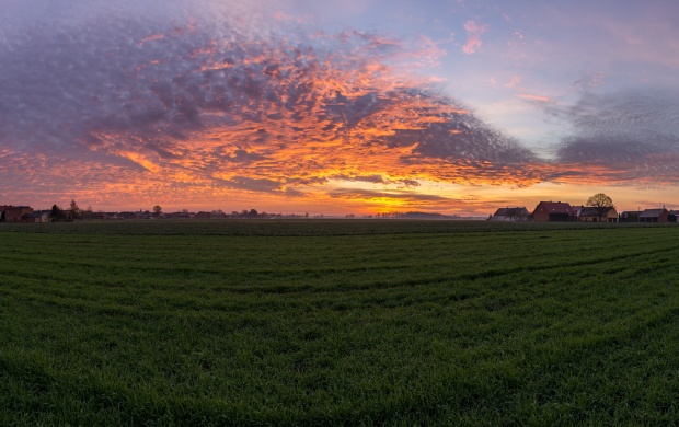 Sunset Over Green Field