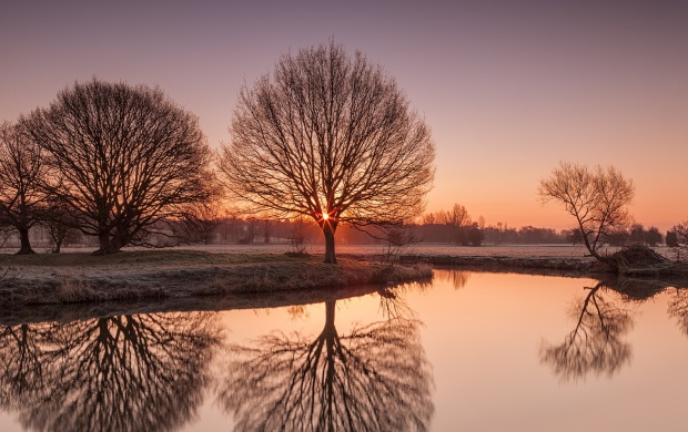 Sunset River Trees Landscape (click to view)