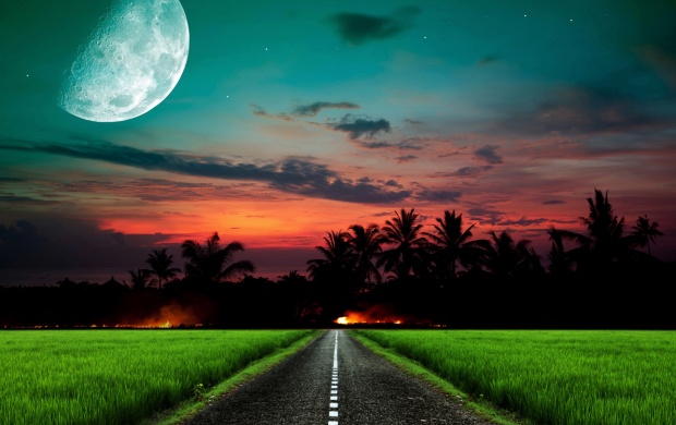 Sunset Road Grass Moon (click to view)