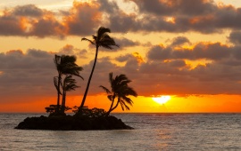 Sunset Sea Island Palm Trees