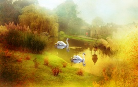 Swan Lake Painting