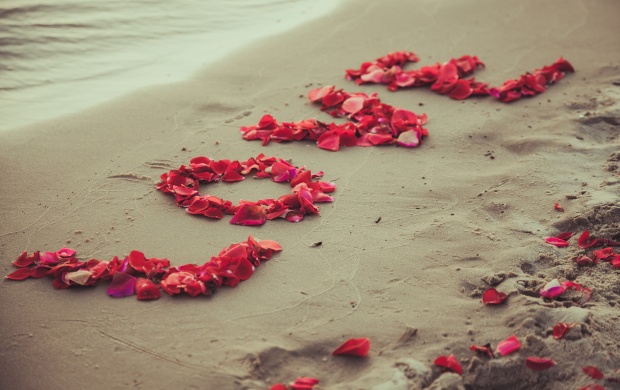 Sweet Romantic Petals Love (click to view)