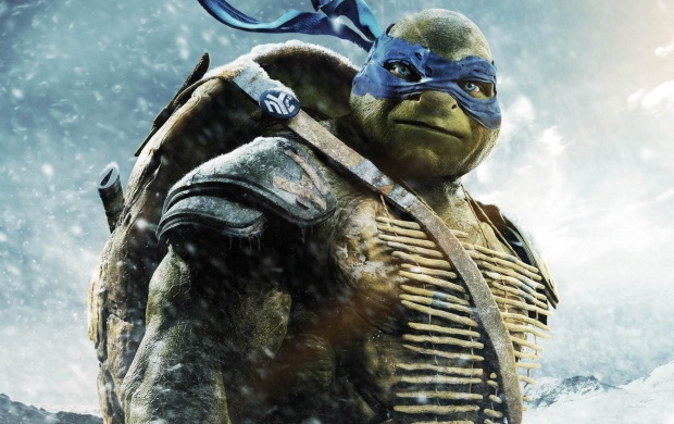 Teenage Mutant Ninja Turtles Poster (click to view)