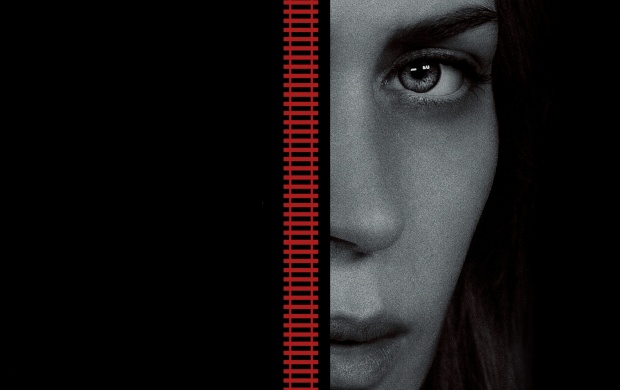 The Girl On The Train Movie Poster (click to view)