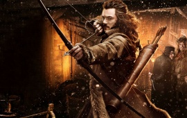 The Hobbit: The Desolation Of Smaug Banners