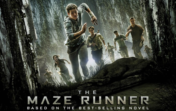 The Maze Runner Poster (click to view)