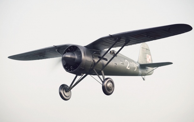 The PZL P11 Fighter Aircraft (click to view)