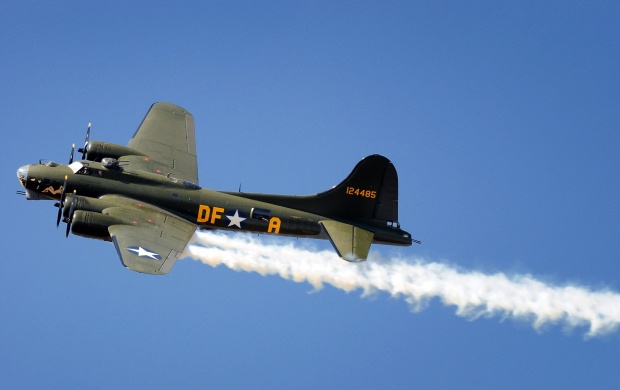 The Return Of Sally B (click to view)