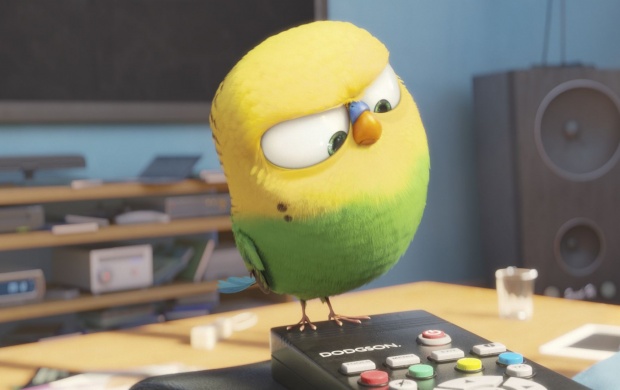 The Secret Life Of Pets Bird (click to view)